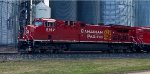 CP 8162